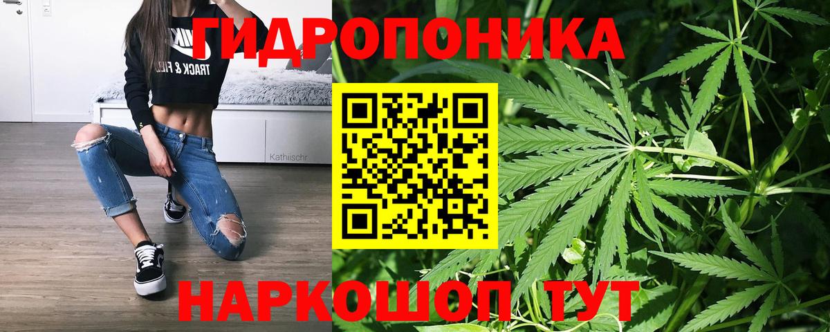 Конопля THC 21%  Вход с VPN  Конопля сатива  Волгодонск  Каннабис THC 21% 